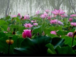 한국관광공사 추천 7월 가볼 만한 곳‘야간여행’ 명소 6곳