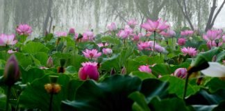 한국관광공사 추천 7월 가볼 만한 곳‘야간여행’ 명소 6곳