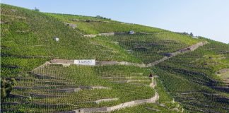 프랑스 북부론 이 기갈(E-guigal) 와인 보물 ‘라라라 삼총사’