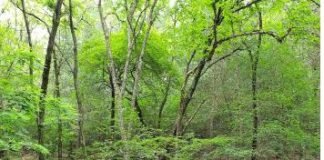 같이 있어 행복한 사람의 미소