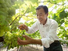 당신도 모르는 사이 조금씩 당신의 마음에 스며들 단 하나의 와이너리, 시나브로