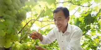 당신도 모르는 사이 조금씩 당신의 마음에 스며들 단 하나의 와이너리, 시나브로