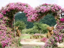 한국관광공사 추천 8월 가볼 만한 곳 ‘힐링의 숲’ 명소 6곳