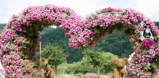 한국관광공사 추천 8월 가볼 만한 곳 ‘힐링의 숲’ 명소 6곳