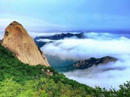 법화산 아래 구름이 전하는 말