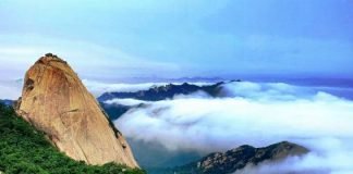 법화산 아래 구름이 전하는 말