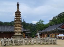 가족·개별 여행자 위한 ‘평창 스카이 렐리 투어’ 운영