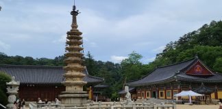 가족·개별 여행자 위한 ‘평창 스카이 렐리 투어’ 운영