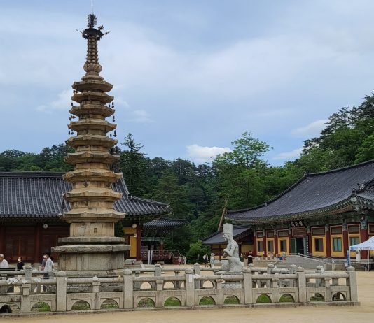 가족·개별 여행자 위한 ‘평창 스카이 렐리 투어’ 운영