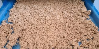 막걸리 술지게미를 이용한 반려동물 고급 사료 개발