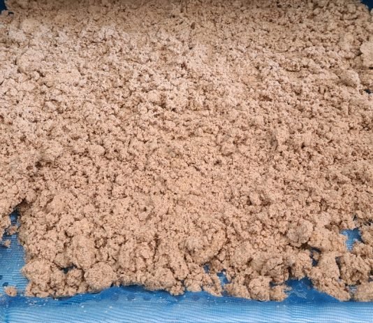 막걸리 술지게미를 이용한 반려동물 고급 사료 개발