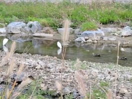 사랑! 너 정말 왜 그래