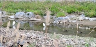 사랑! 너 정말 왜 그래