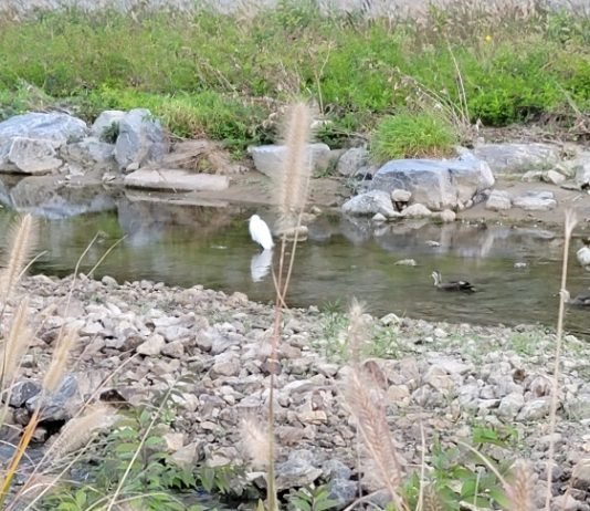 사랑! 너 정말 왜 그래