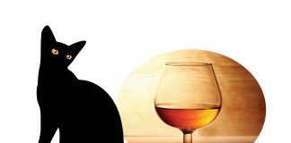 키치죠지의 검은 고양이와 코냑