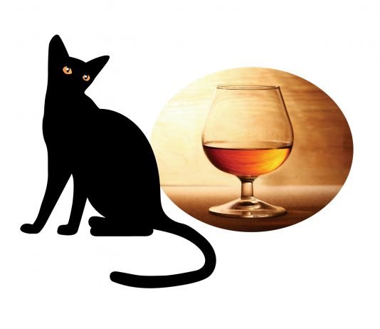 키치죠지의 검은 고양이와 코냑