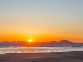 하얀 勇氣로 일어나자