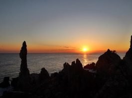 2021 신축(辛丑)년 한해를 조망해본다