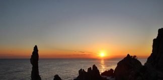 2021 신축(辛丑)년 한해를 조망해본다