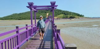 퍼플섬? 보라색 옷을 입고 보라색 모자를 쓰고 방문해야지