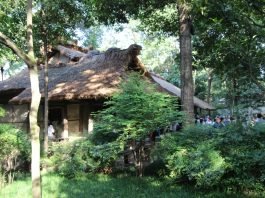 언제나 천만칸 집을 지을꼬(10)