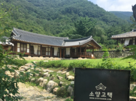 ‘전주한옥마을-완주한옥마을-내장산’으로 한 바퀴