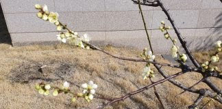 100세 시대 세계의 중심은 신 중년이다