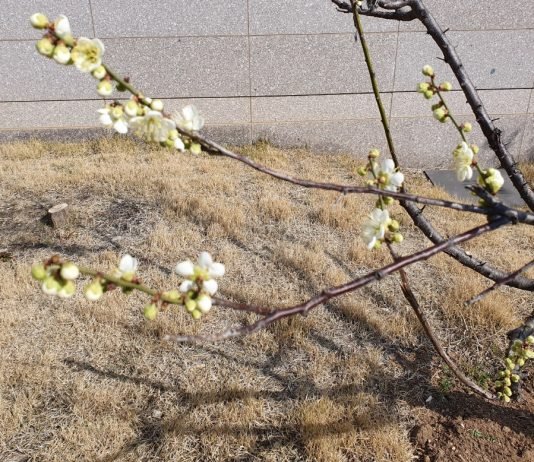 100세 시대 세계의 중심은 신 중년이다