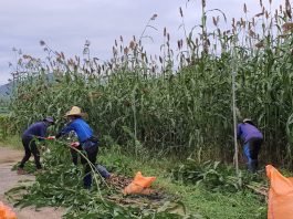 단수수 럼 생산의 일인자 착한농부, 건강한 단맛으로 소비자를 사로잡다!