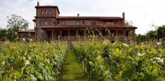 조지아, 와인으로 즐기는 이벤트들