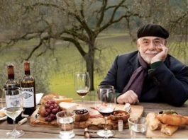 이탈리아의 음주문화와 알코올 정책(完)