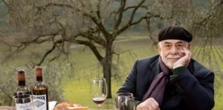 이탈리아의 음주문화와 알코올 정책(完)