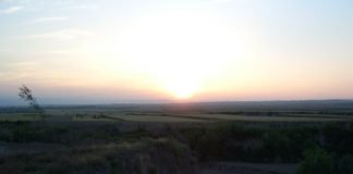 언제나 천만칸 집을 지을꼬(12)