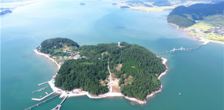 “기차 타고 전남 섬에 가서 인센티브받아요”