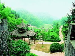 귀거래사〉에서 도연명이 노래하는 술과 도교적 무릉도원