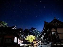 영주야 한밤에: 해질녘 부석사, 소수서원 한밤여행