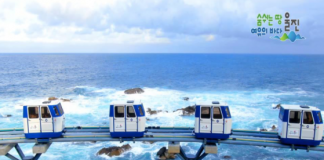 동해안 최고의 비경 감상법, 아시나요?