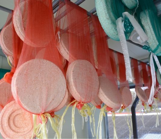녹두주(菉豆酒) 스토리텔링 및 술 빚는 법