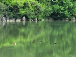 우린 누구이고, 지금 도대체 어디로 가고 있는가?