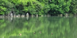 우린 누구이고, 지금 도대체 어디로 가고 있는가?