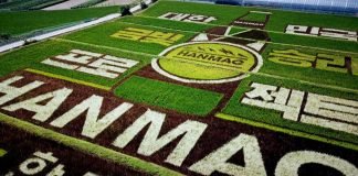 대한민국 ‘금빛승리’ 응원하는 초대형 ‘필드아트’ 공개