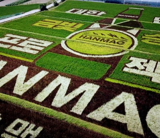 대한민국 ‘금빛승리’ 응원하는 초대형 ‘필드아트’ 공개