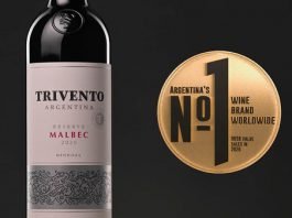 전세계 와인 판매 1위는 아르헨티나의 트리벤토