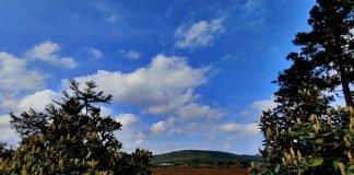 번민에 대한 진통제로 술을 마신 도연명