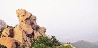 언제나 천만칸 집을 지을꼬(14)