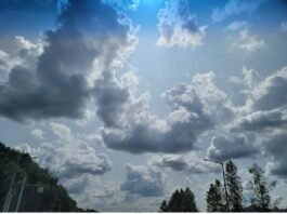 나 보고 정말 술 왕창 취해서, 경복궁을 불태우란 말이야?