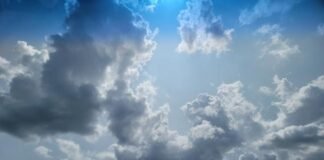 나 보고 정말 술 왕창 취해서, 경복궁을 불태우란 말이야?