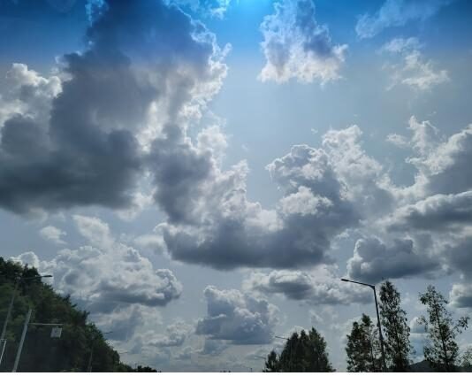 나 보고 정말 술 왕창 취해서, 경복궁을 불태우란 말이야?