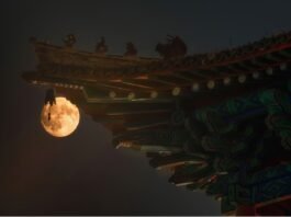 술마켓이 추천하는 추석의 전통주