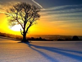 언제나 천만칸 집을 지을꼬(16)